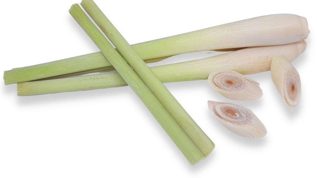 Tanaman Obat Untuk Flu